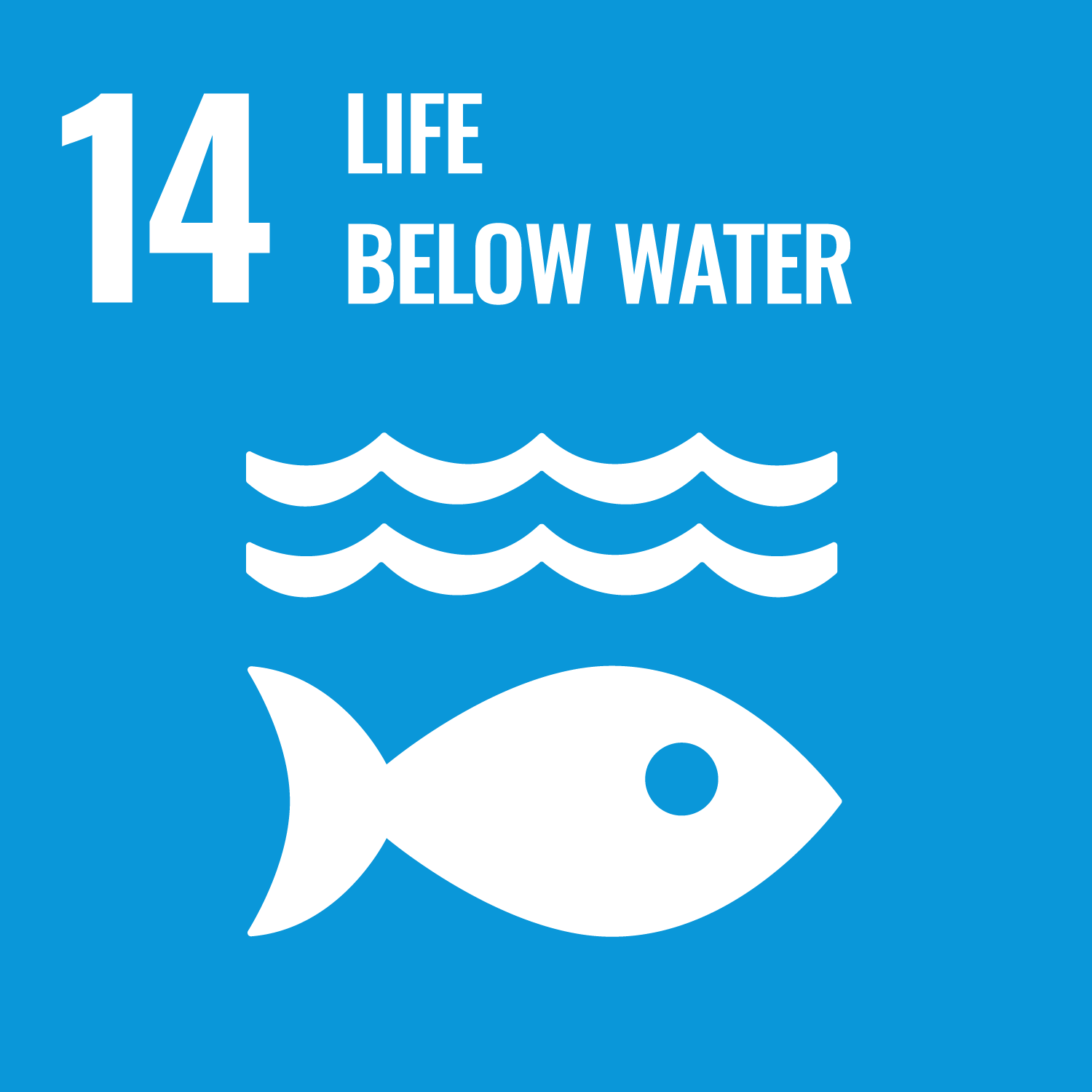Life Below Water SDG Graphic